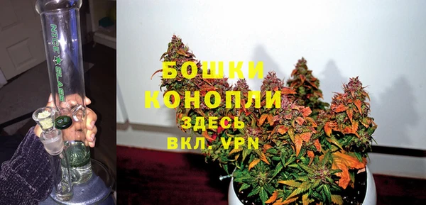 шишки Наволоки