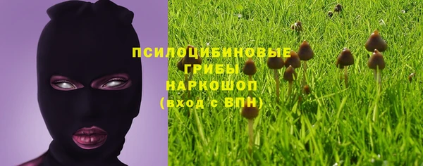 дмт Белоозёрский