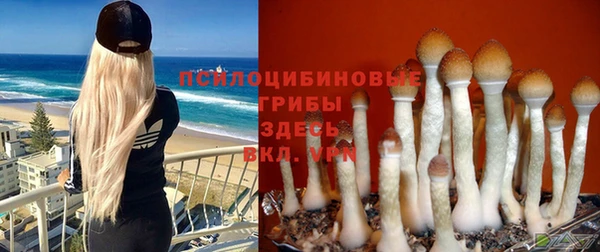 дмт Белоозёрский